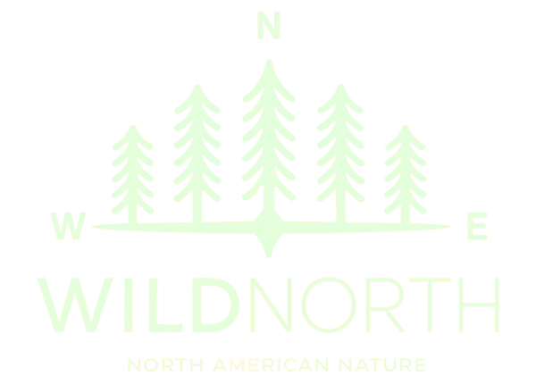 WildNorth